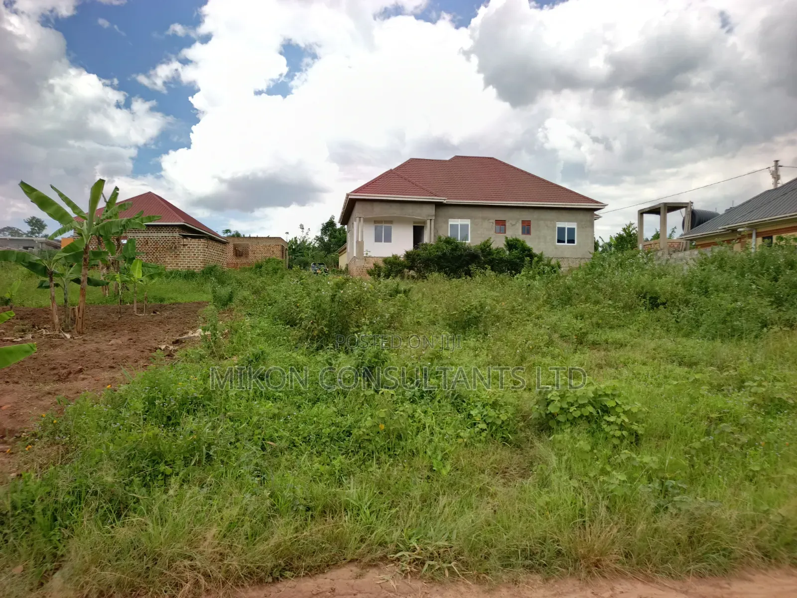 A Hot Cake Plot in Matuga Sanga With a Title