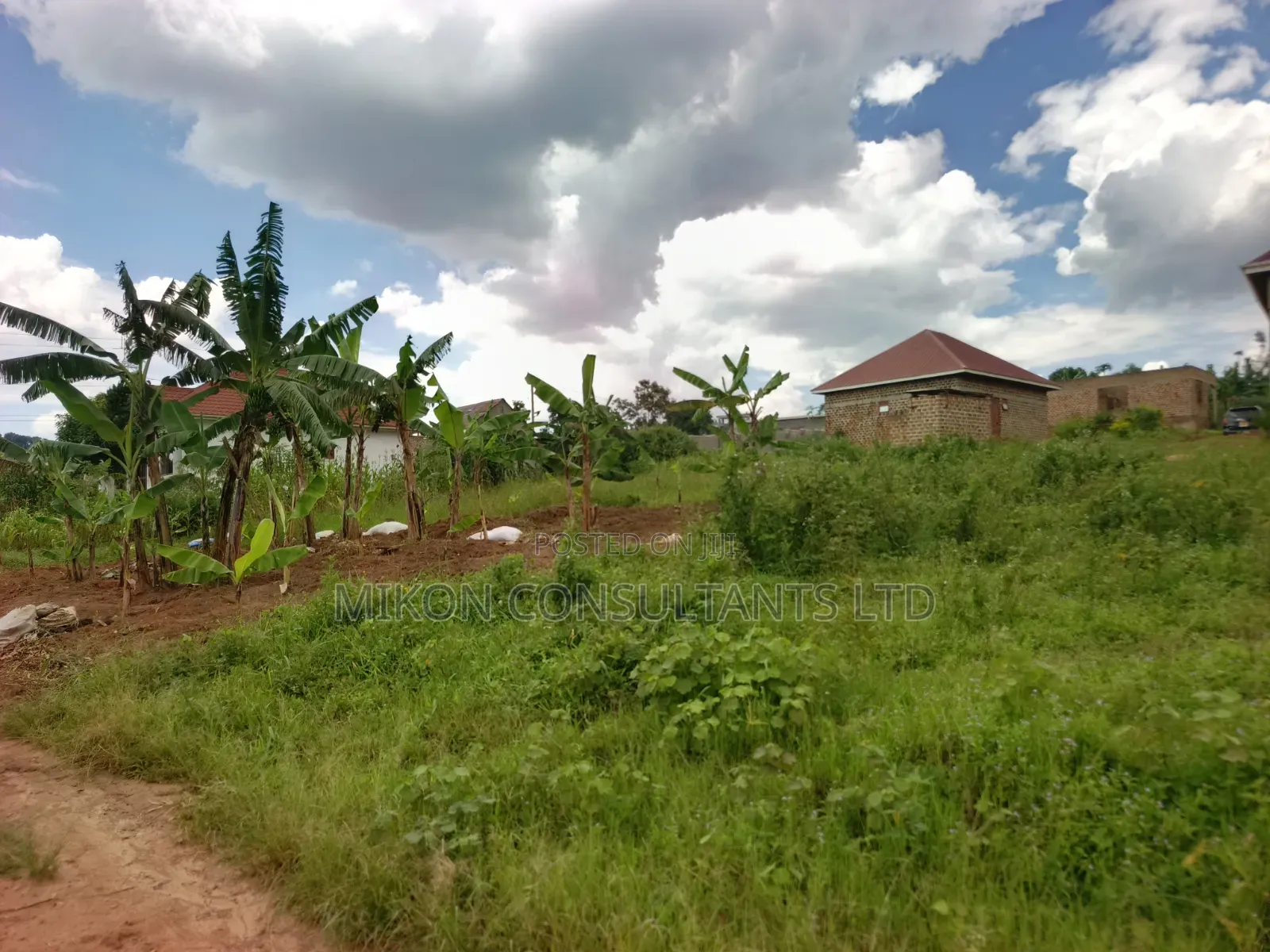 A Hot Cake Plot in Matuga Sanga With a Title