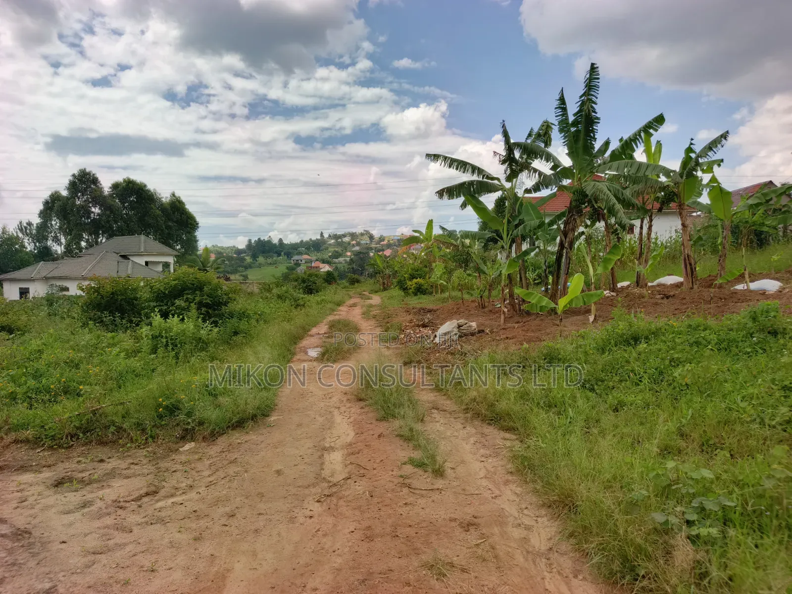 A Hot Cake Plot in Matuga Sanga With a Title