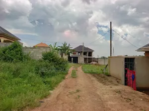 A Hot Cake Plot in Matuga Sanga With a Title