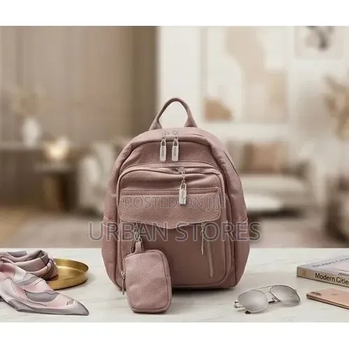 Ladies Back Pack With a Small Handle Bag