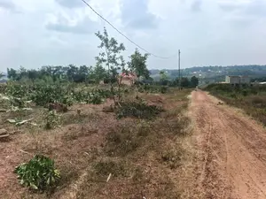 Prime Plots for Sale
