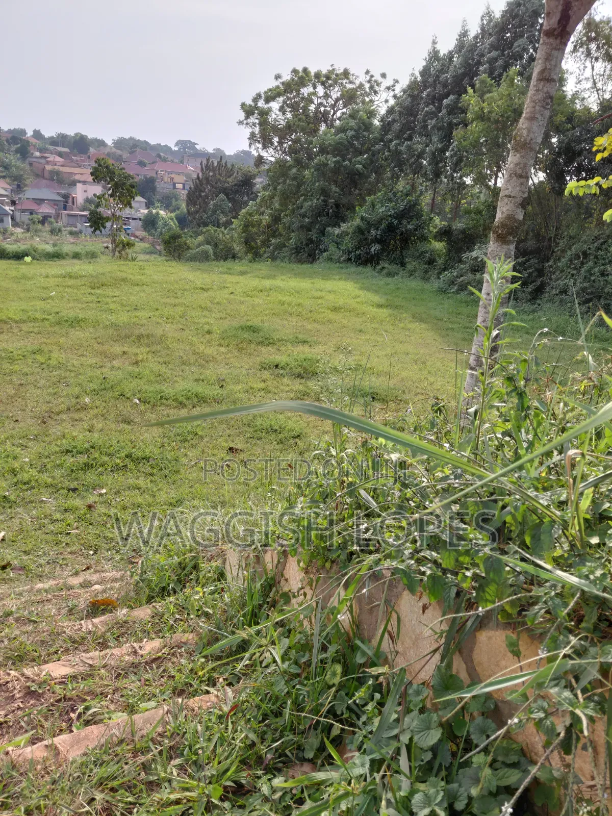 Land and Plots for Sale Genuine Title