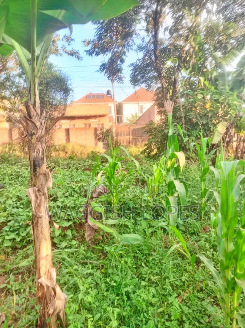 Land and Plots for Sale Genuine Title