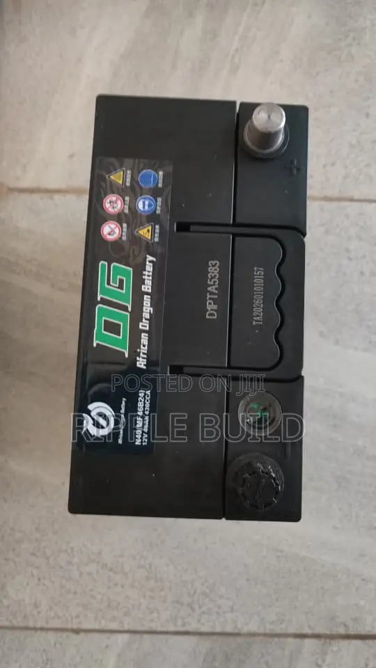 N40 40ah Maintenance Free Car Battery Dg African Dragon