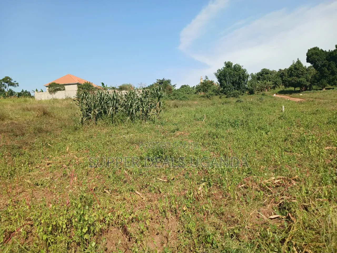50 Acres for Sale in Gayaza
