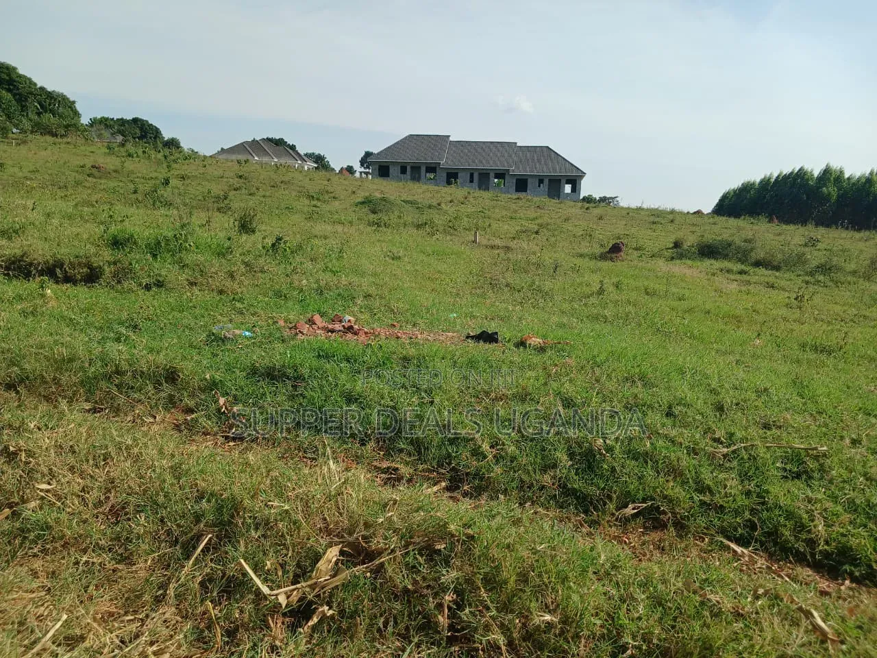 50 Acres for Sale in Gayaza
