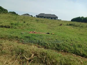 50 Acres for Sale in Gayaza