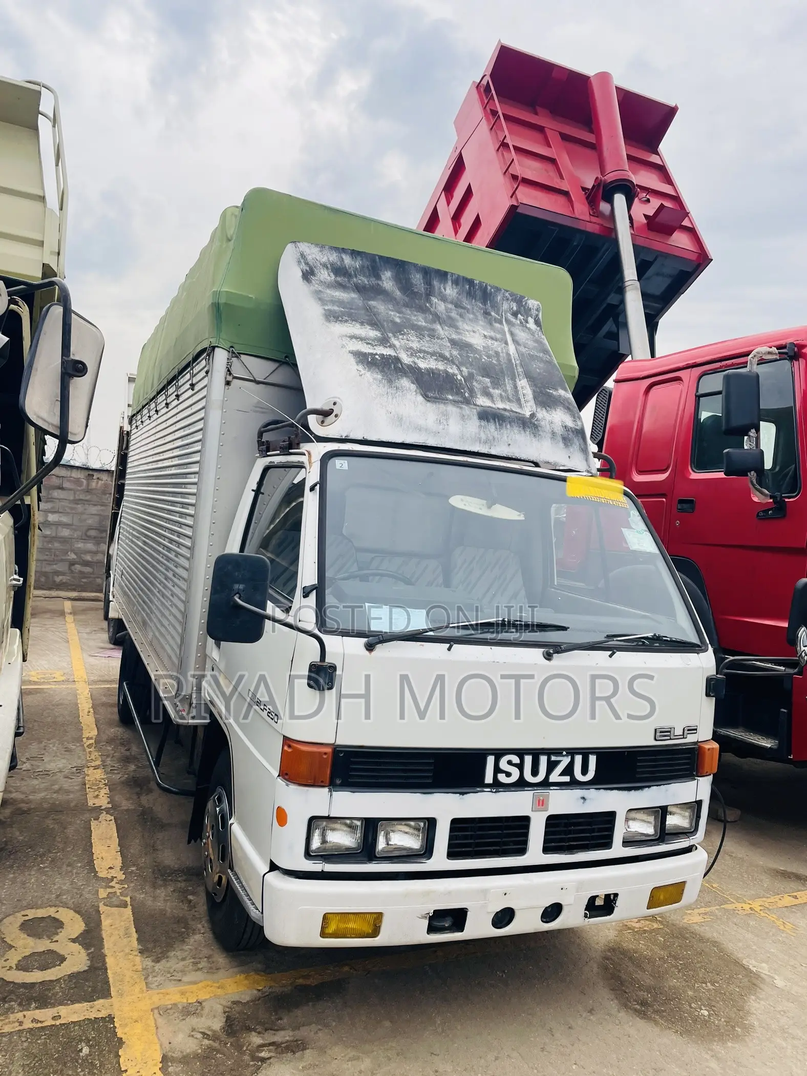Isuzu Short Box Body