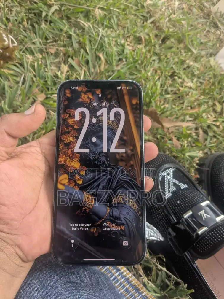 Apple iPhone 13 Pro Max 256 GB Gray