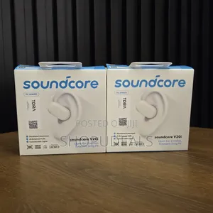 Anker Soundcore V20i Earbuds