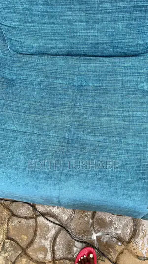Sofa Cleaning