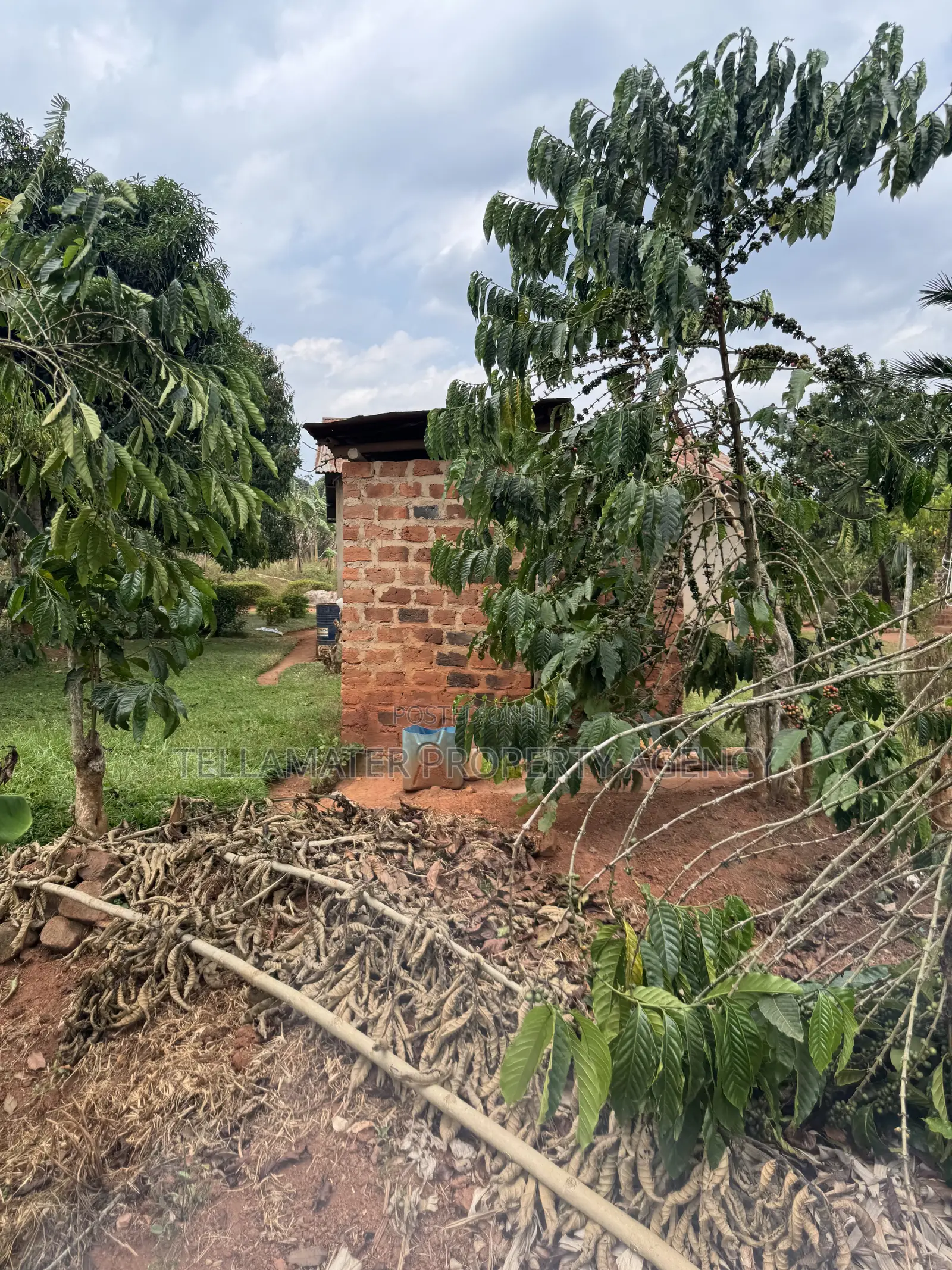 New Nakifuma-kakinzi Estate 50*50ft And 50*100 Plots Kabaka Land
