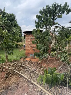 New Nakifuma-kakinzi Estate 50*50ft And 50*100 Plots Kabaka Land
