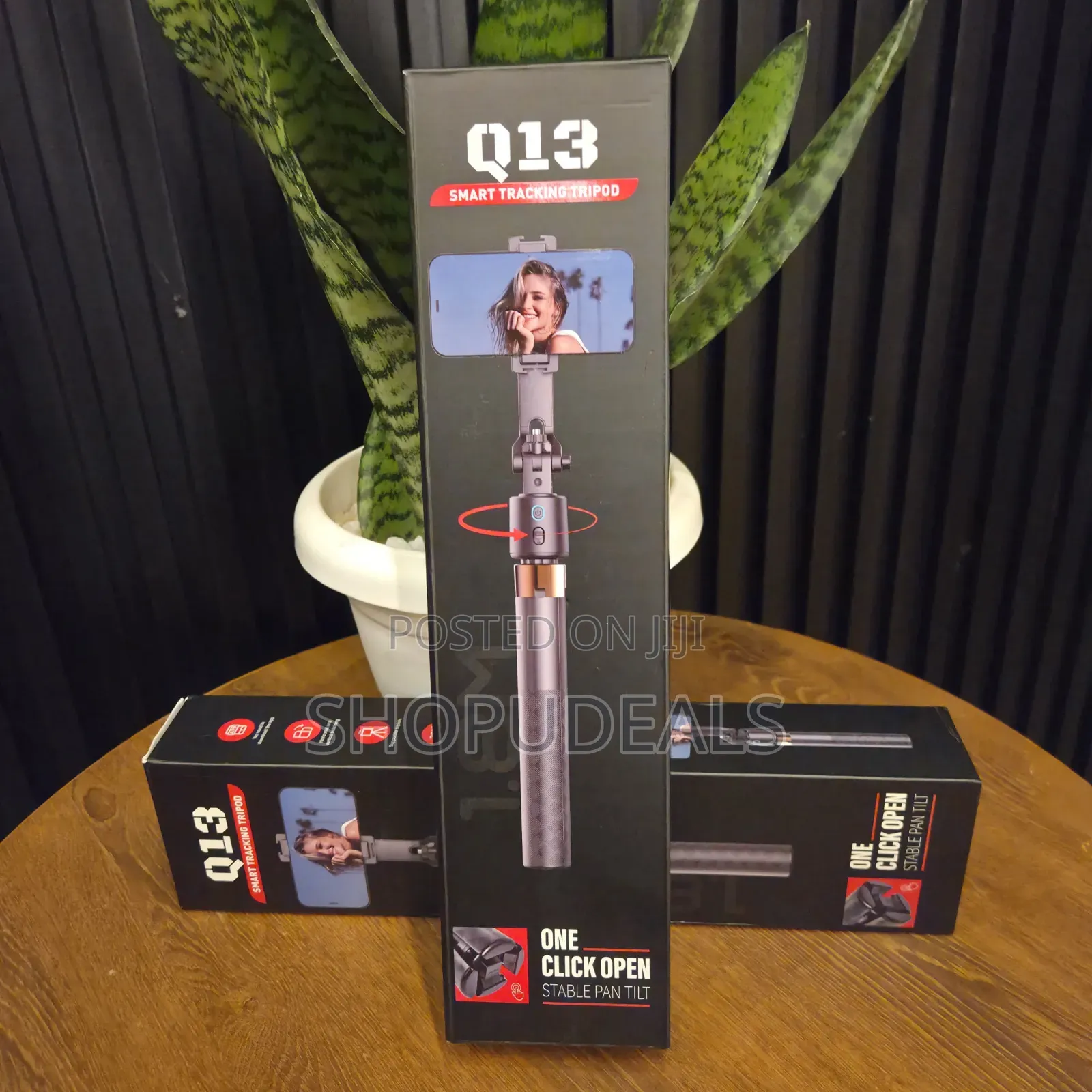 Q13 Smart Tracking Tripod