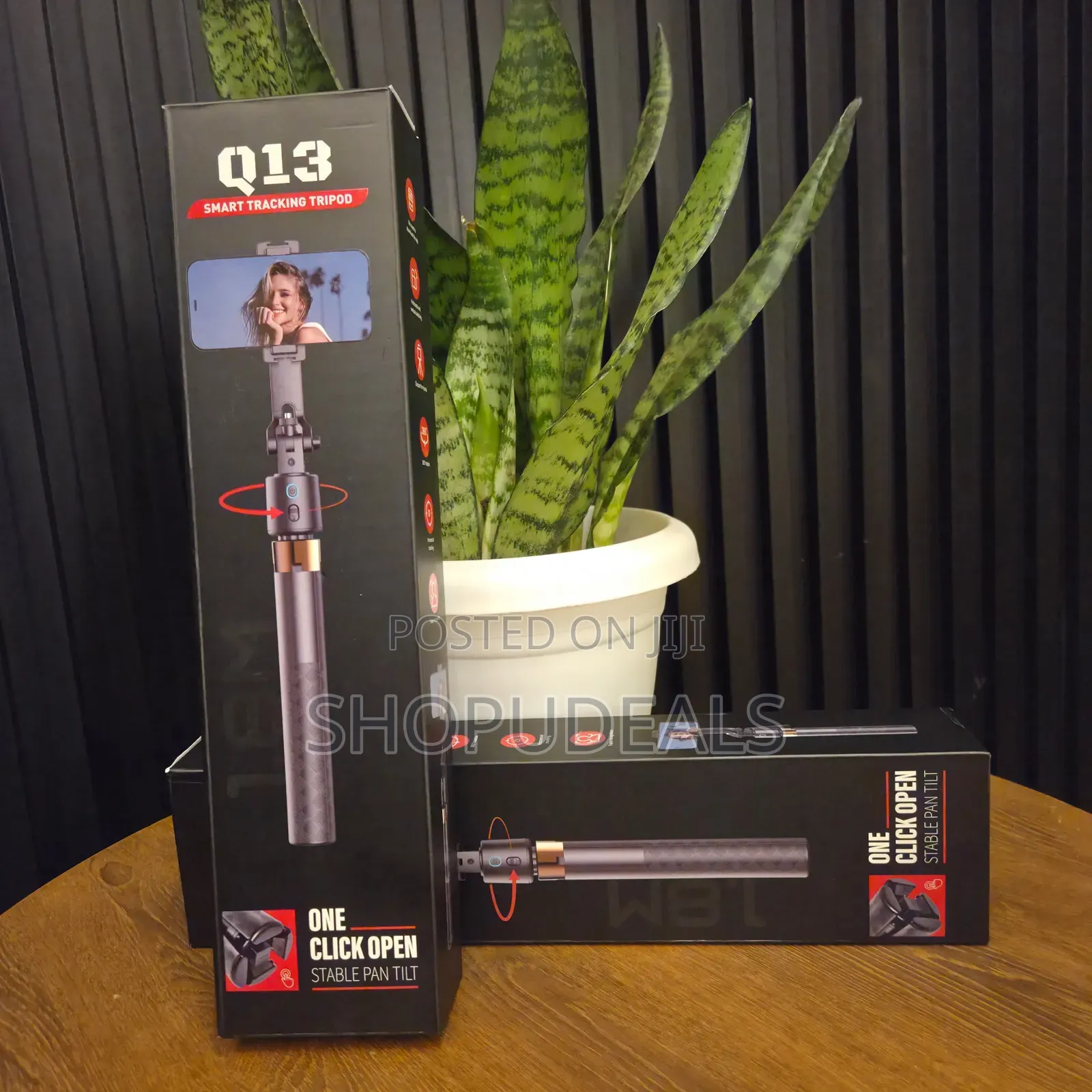 Q13 Smart Tracking Tripod