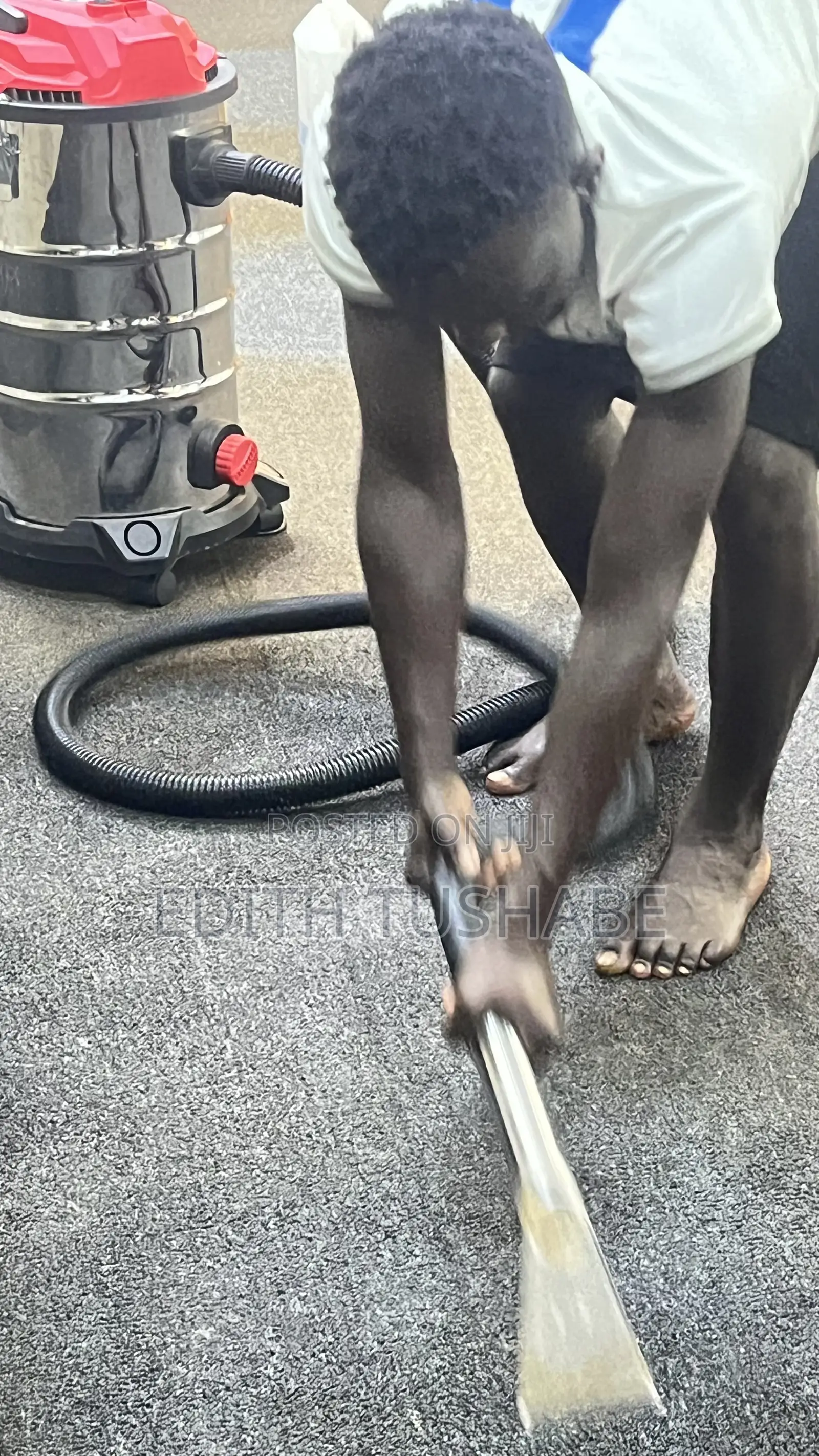 Carpet Cleaning