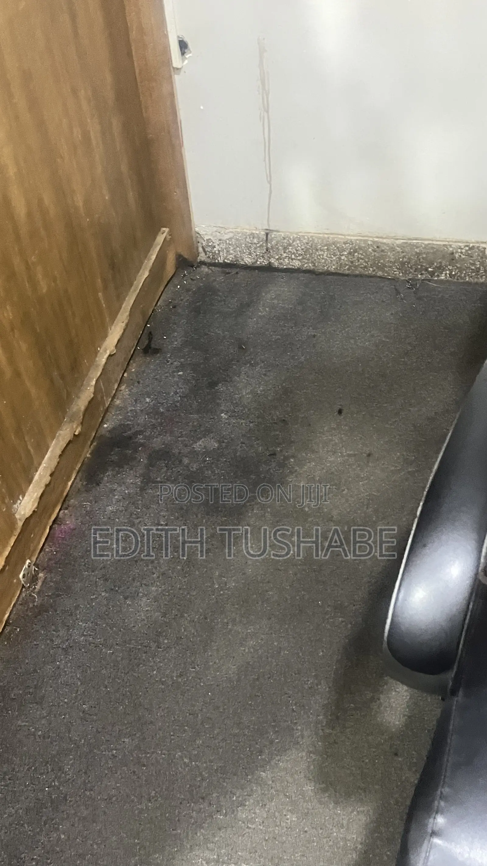 Professional Carpet Cleaning
