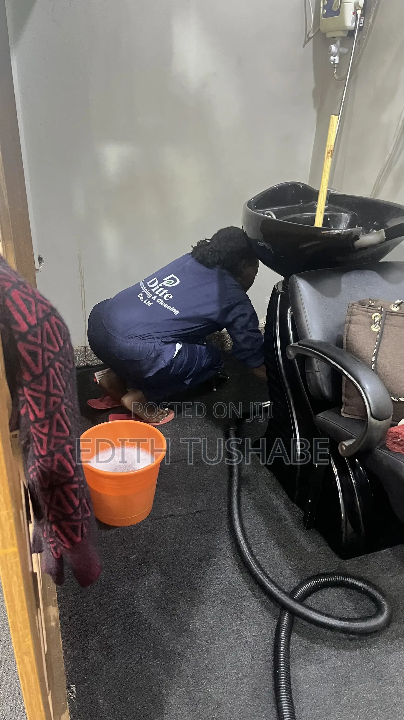 Professional Carpet Cleaning