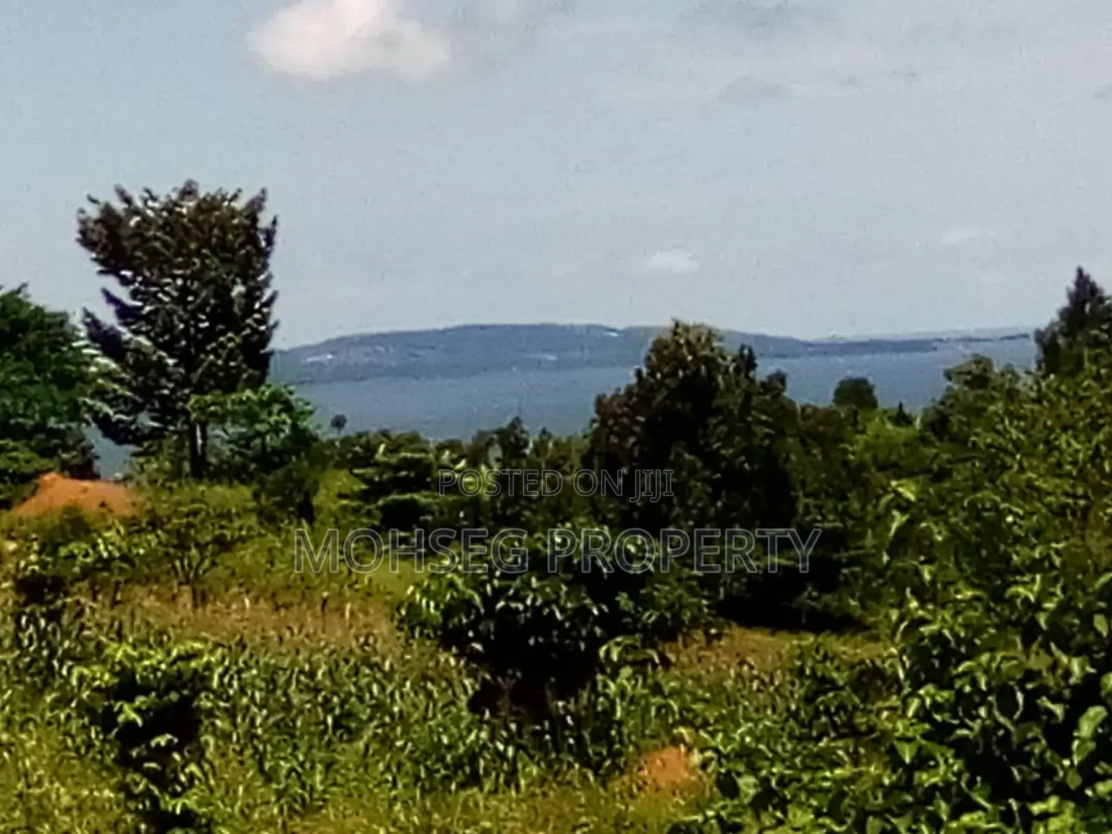 40 Acres of Prime Land for Sale in Garuga Entebbe