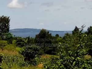 40 Acres of Prime Land for Sale in Garuga Entebbe