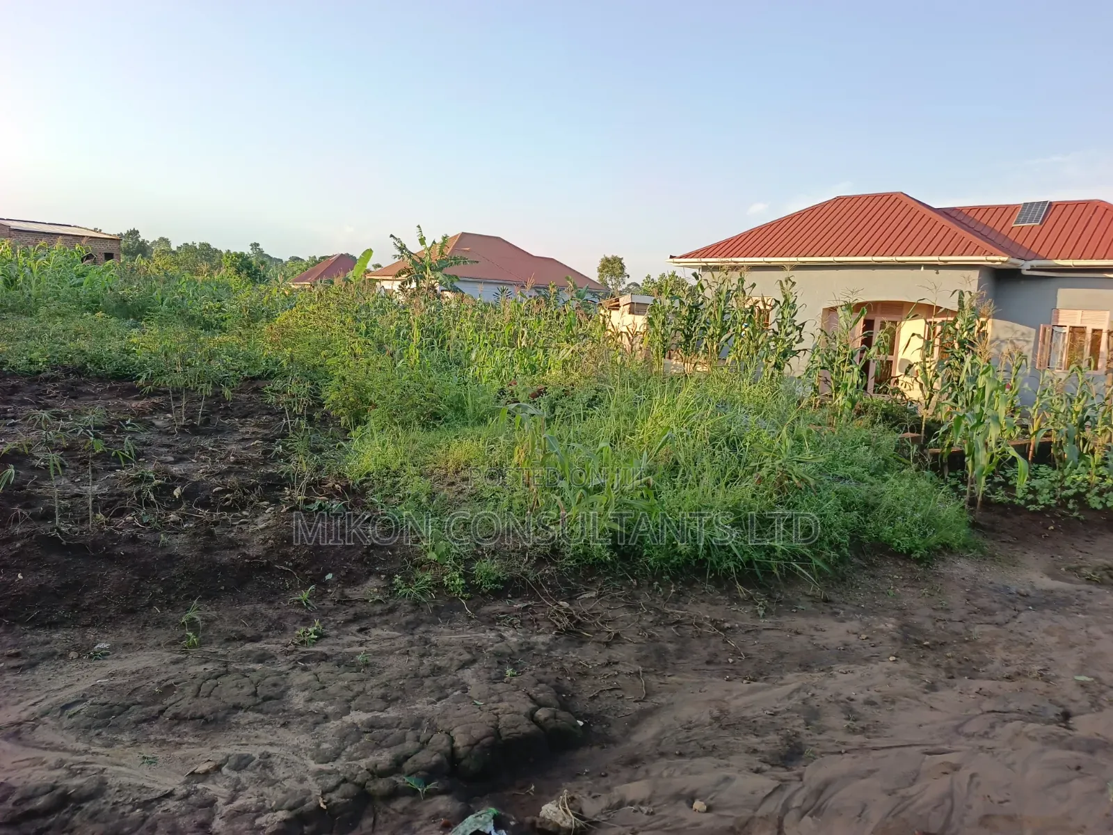 25 by 50 FTS Plot in Matuga Kavule