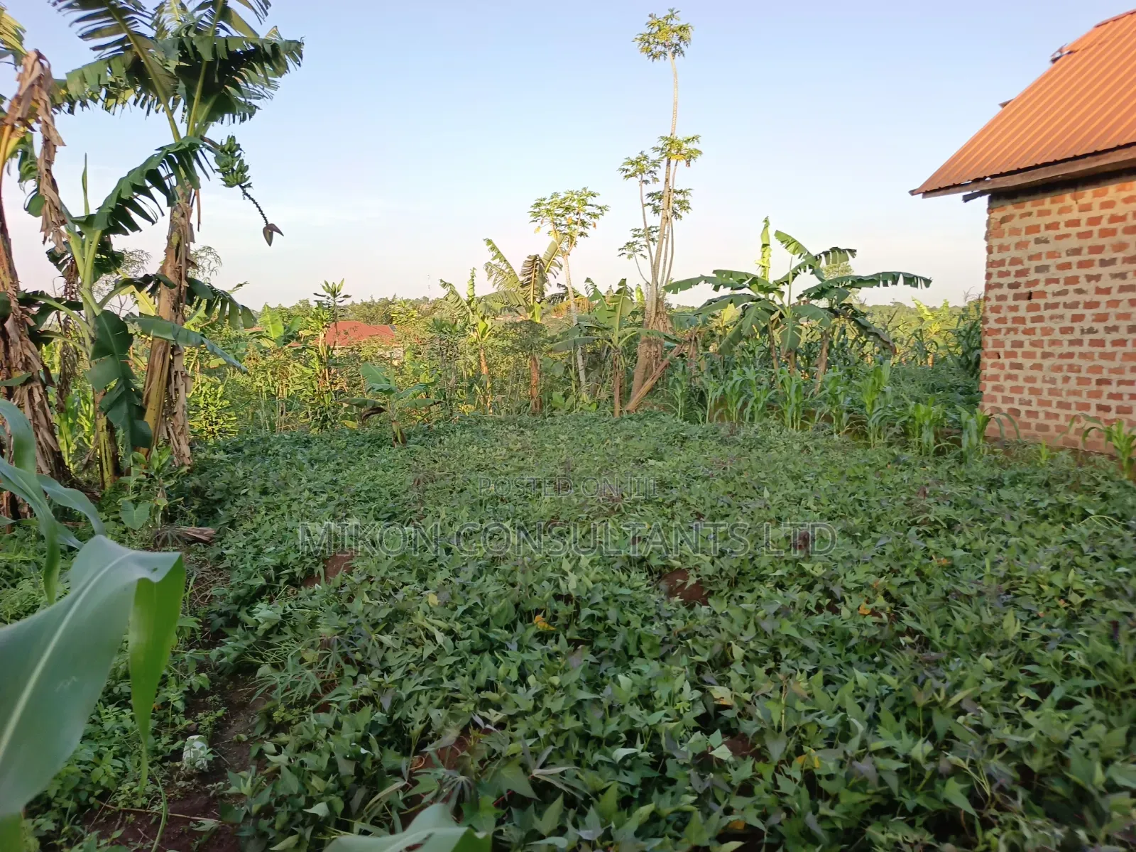 25 by 50 FTS Plot in Matuga Kavule