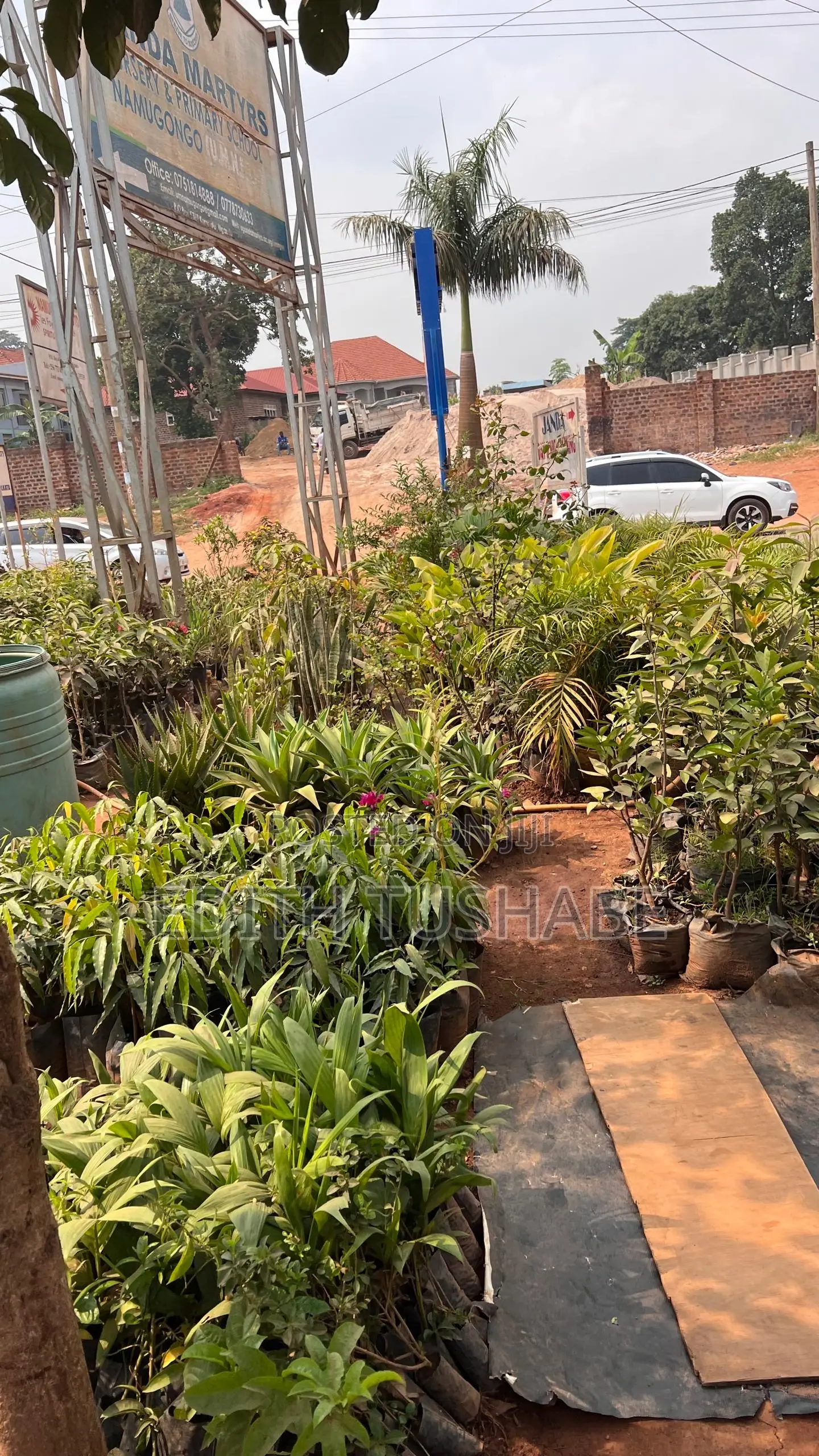Flowers, Fruits and Trees