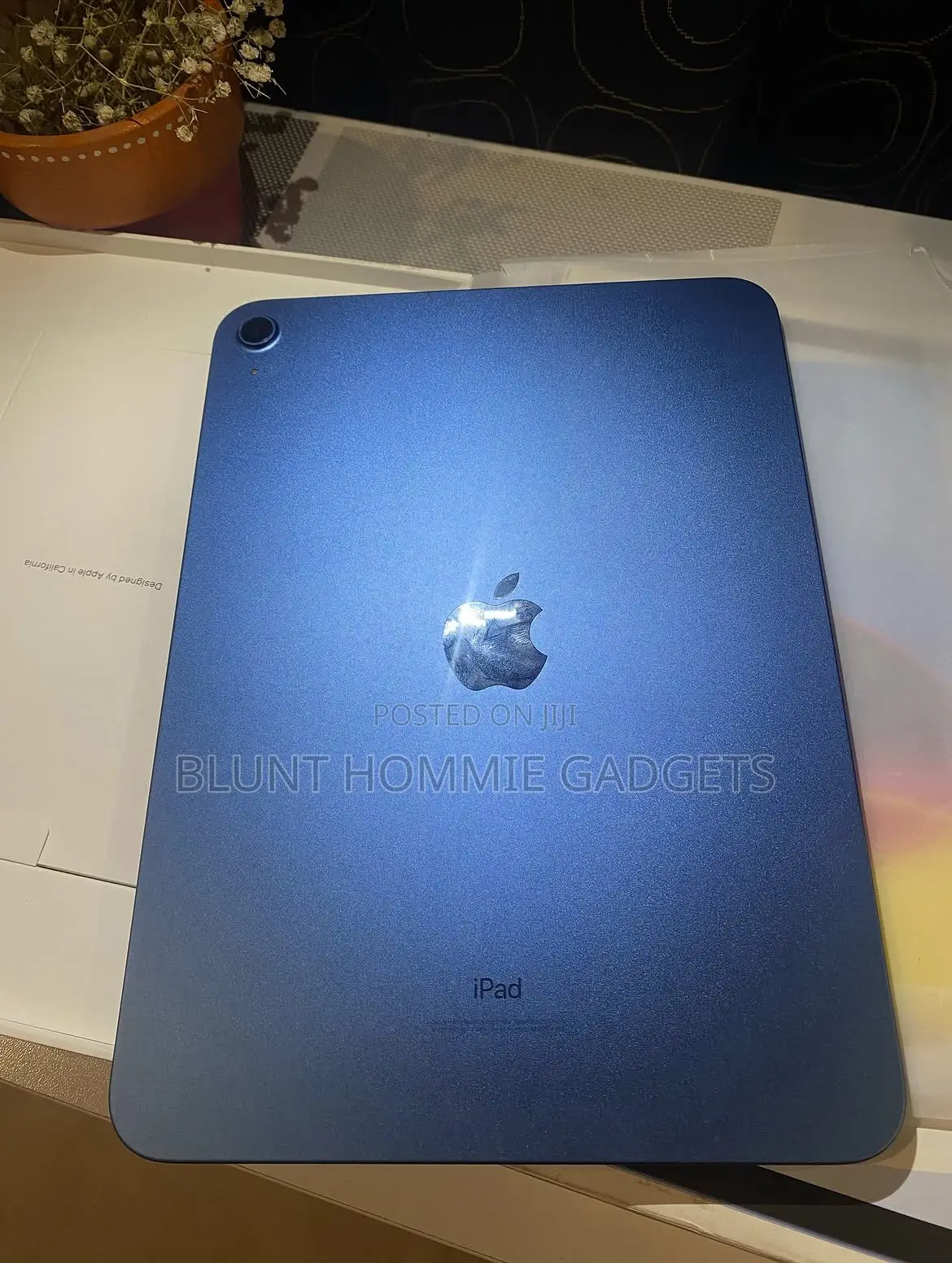 Apple iPad (2022) 256 GB Blue