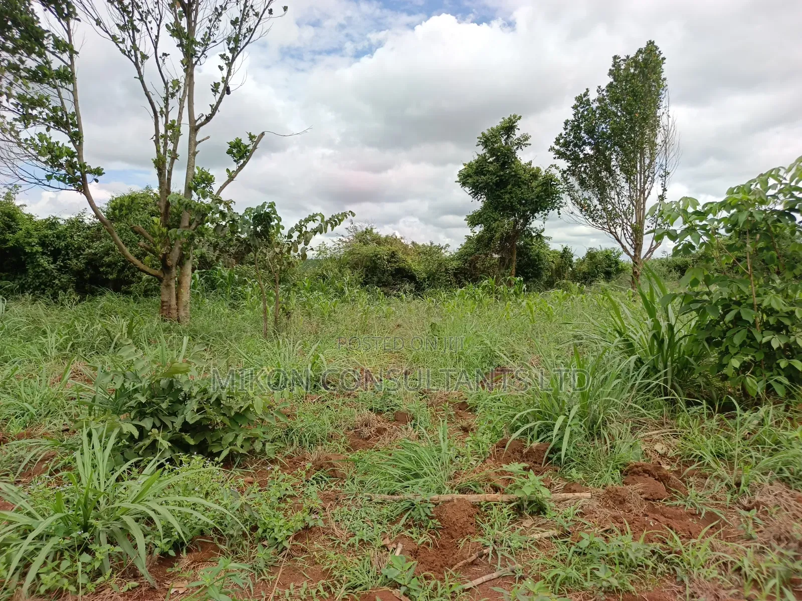 10 Acres of Land in Kabunyata After Kikyusa Luwero District