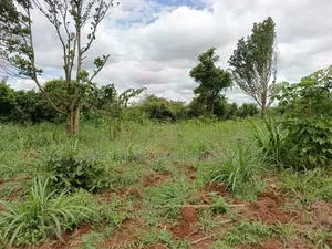 10 Acres of Land in Kabunyata After Kikyusa Luwero District