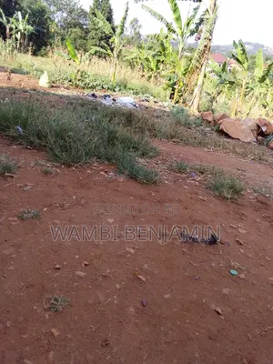 Lands for Sale in Jinja City