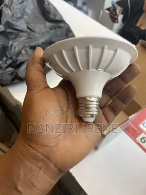 Plate Bulb