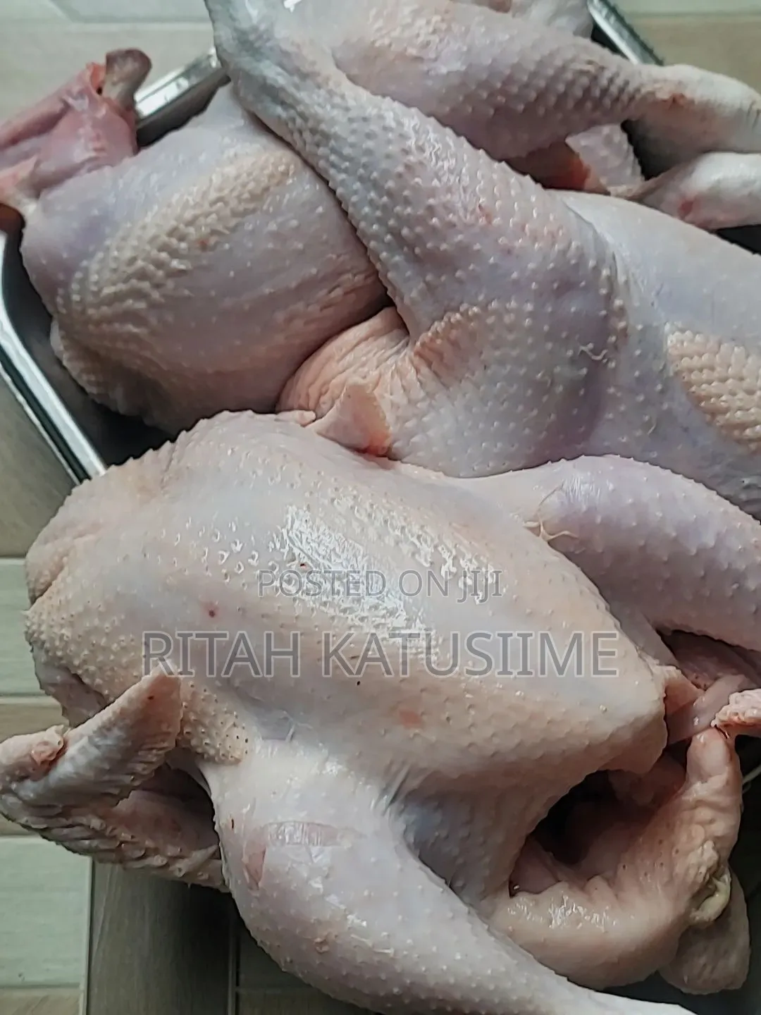 Chicken Supplier