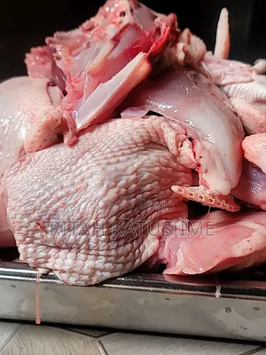 Chicken Supplier