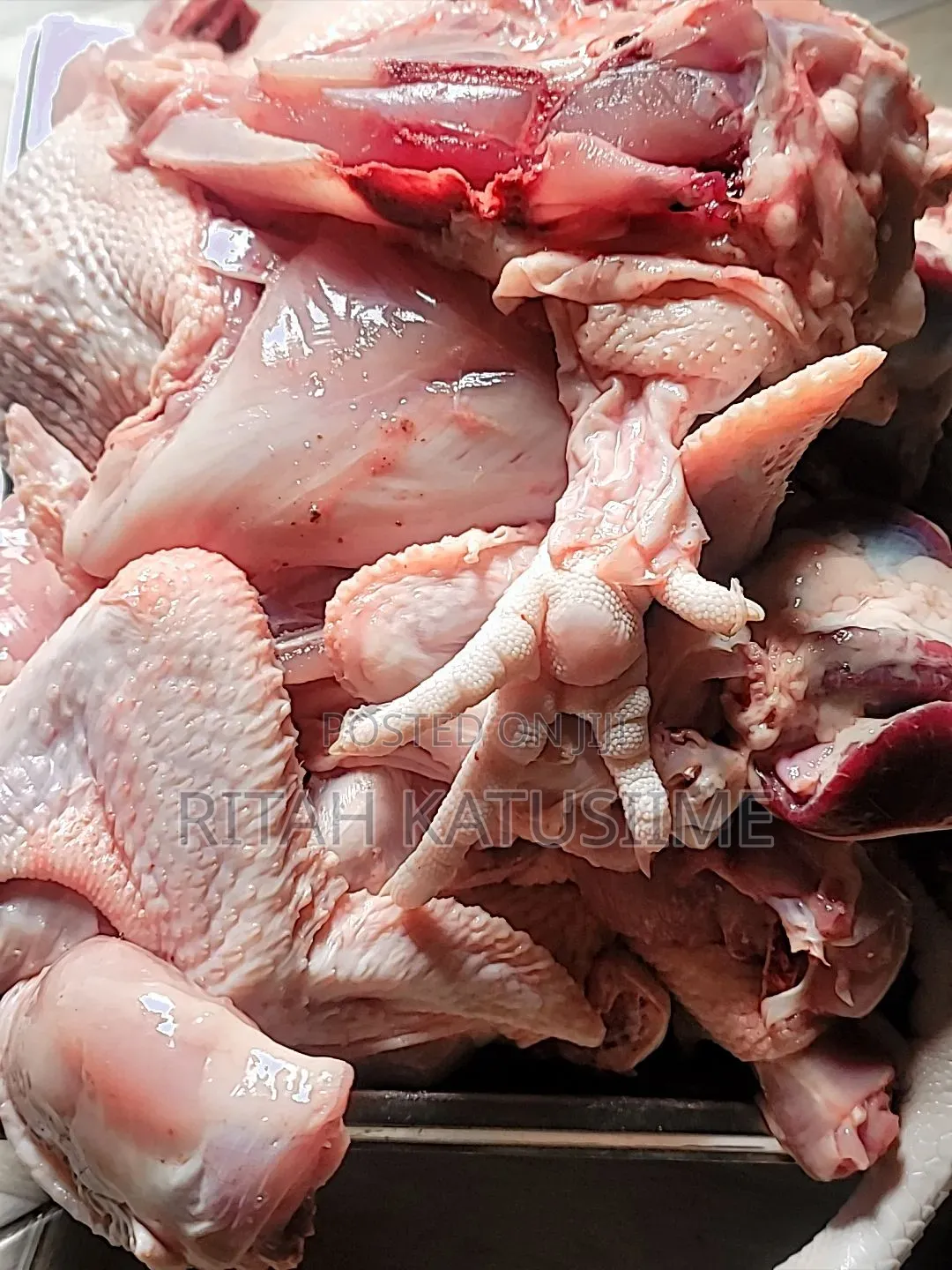 Chicken Supplier