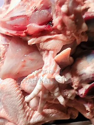 Chicken Supplier