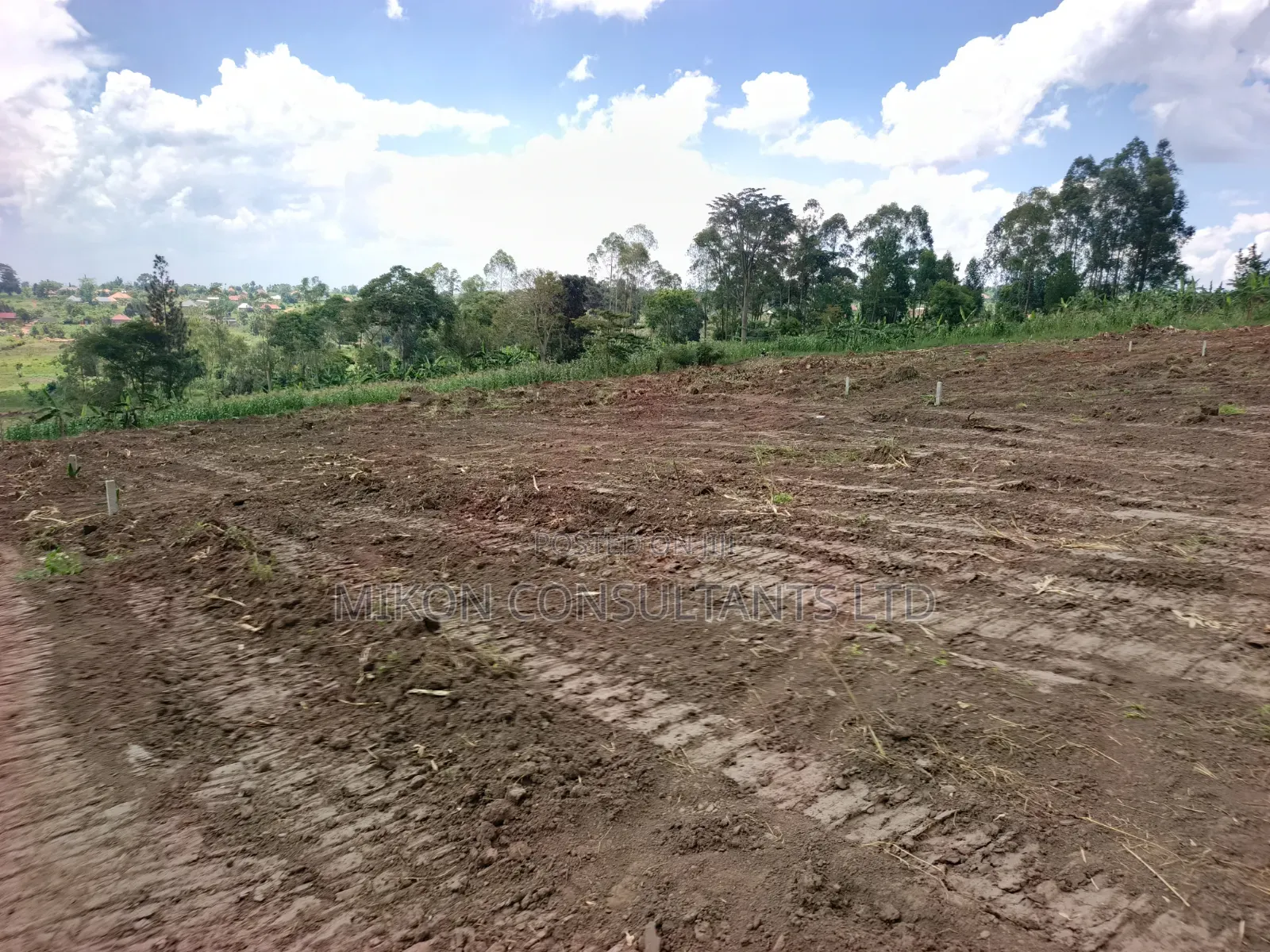 Our Newly Opened Estate in Matuga Kigogwa
