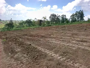 Our Newly Opened Estate in Matuga Kigogwa