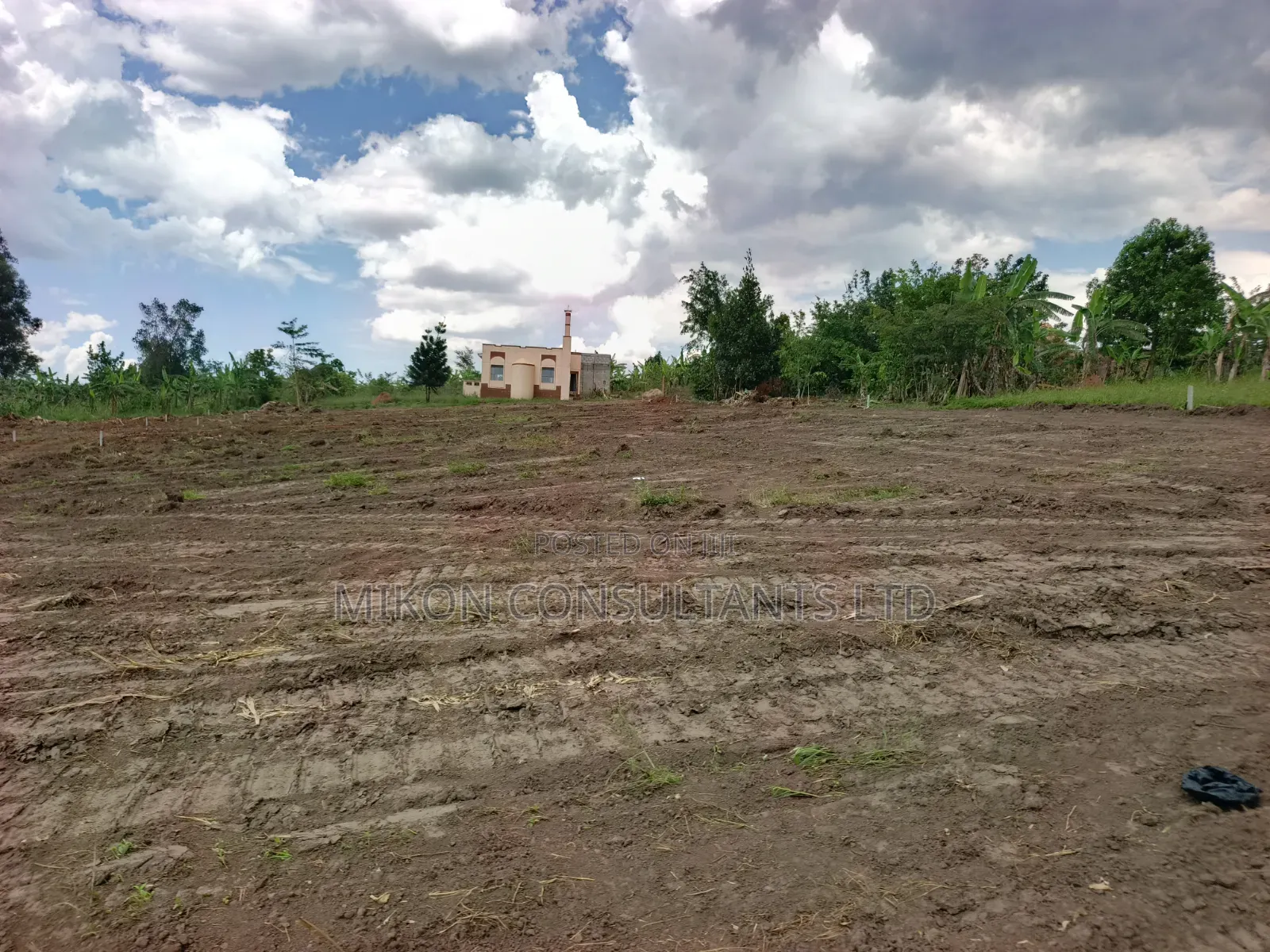 Our Newly Opened Estate in Matuga Kigogwa