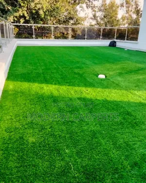 Roof Top Vertical Green Grass