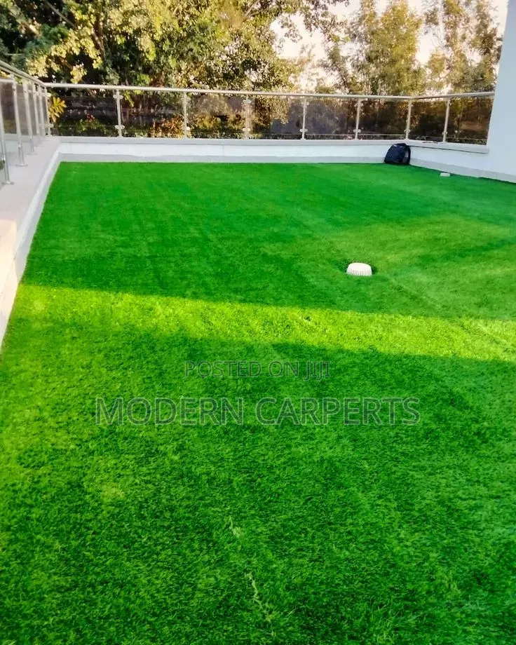Roof Top Vertical Green Grass