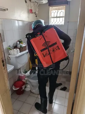 Fumigation in Ndeje