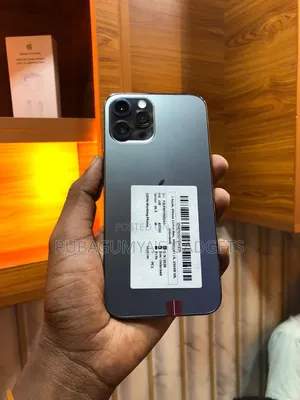 Apple iPhone 12 Pro Max 256 GB Gray