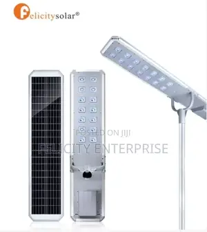 S80- T- Solar Light Felicity-800w