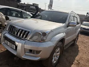 Toyota Land Cruiser 2002 Silver