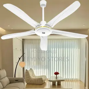 Evernal 56-Inch Ceiling Fan (Cf-56b2)