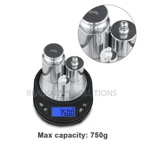 High Precision Digital Portable Jewelry Scale 750g