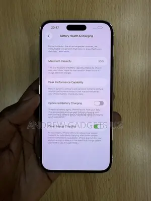 Apple iPhone 14 Pro Max 1 TB Silver