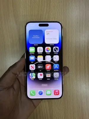 Apple iPhone 14 Pro Max 1 TB Silver
